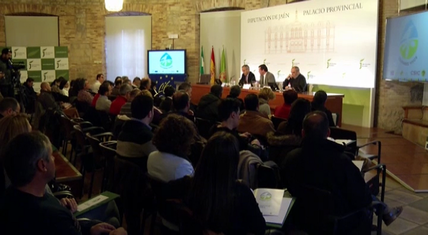 Jornada de la red de municipios por los olivares vivos en la Diputación