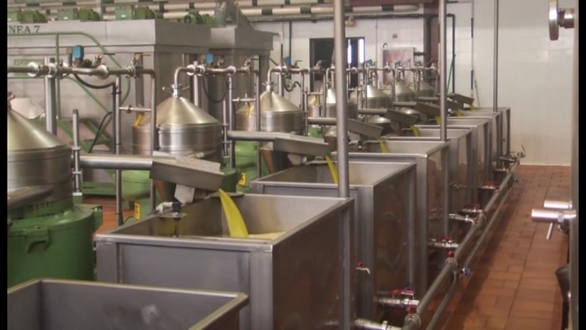 El precio del aceite de oliva se mantiene en alza