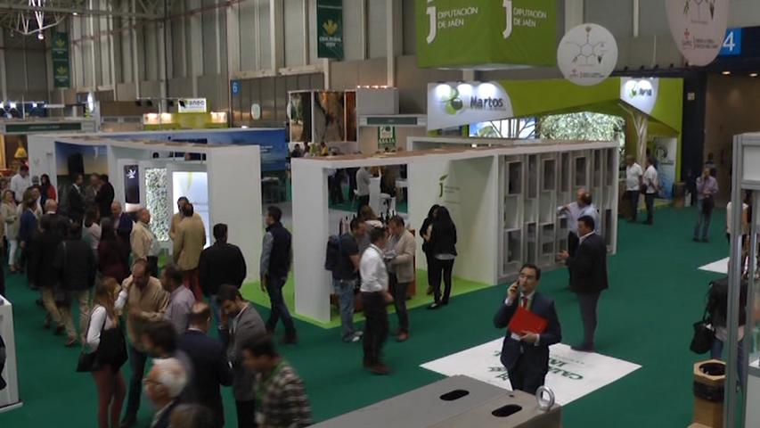 Expoliva 2017 abre sus puertas en IFEJA