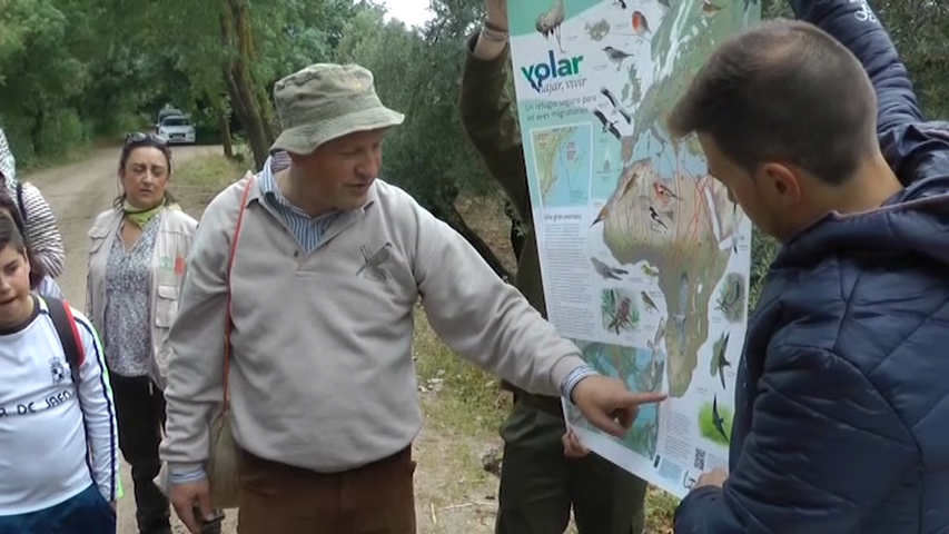 Jornada con escolares por el día mundial de las aves migratorias en La Laguna