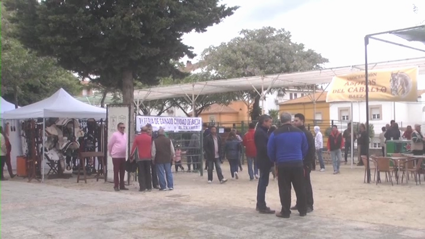 Éxito de la primera feria de ganado de Baeza
