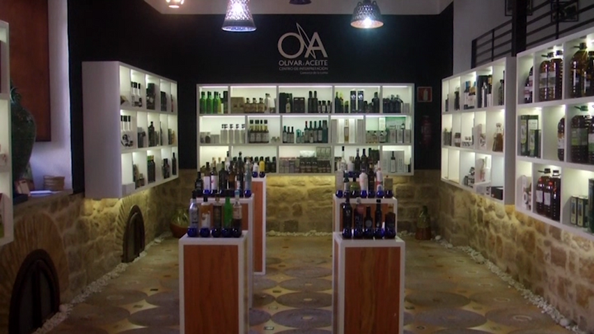 Segunda sesión del club de cata en el centro Olivar y aceite de Úbeda