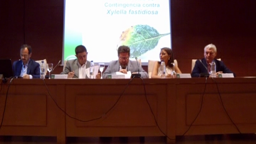 El Consejo Andaluz del Olivar se reúne en Jaén para debatir mecanismos de prevención de la Xylella fastidiosa