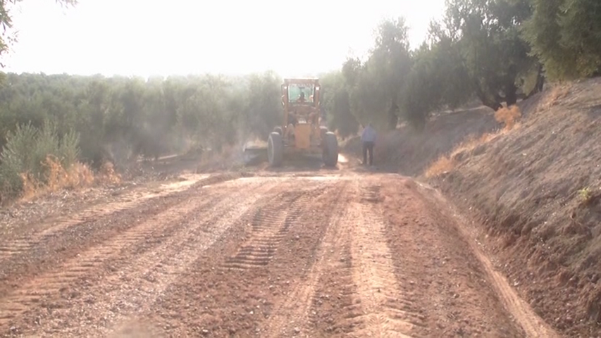 Intervenciones en diferentes caminos agrícolas de Baeza