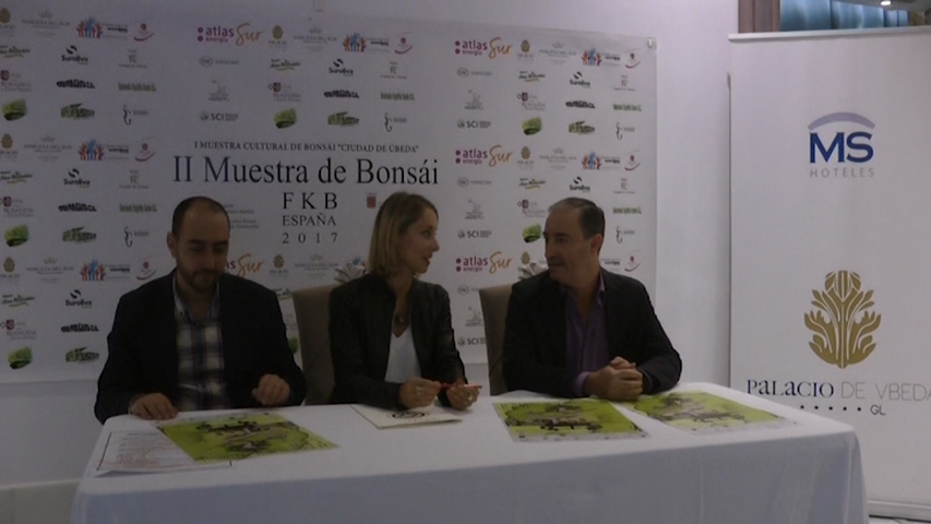 Úbeda acogerá del 10 al 12 de noviembre la II Muestra de Bonsái FKB