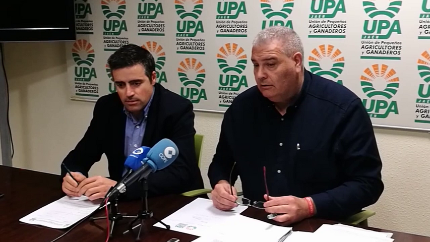 UPA Jaén y Huelva coordinarán el envío de trabajadores de la aceituna a la fresa
