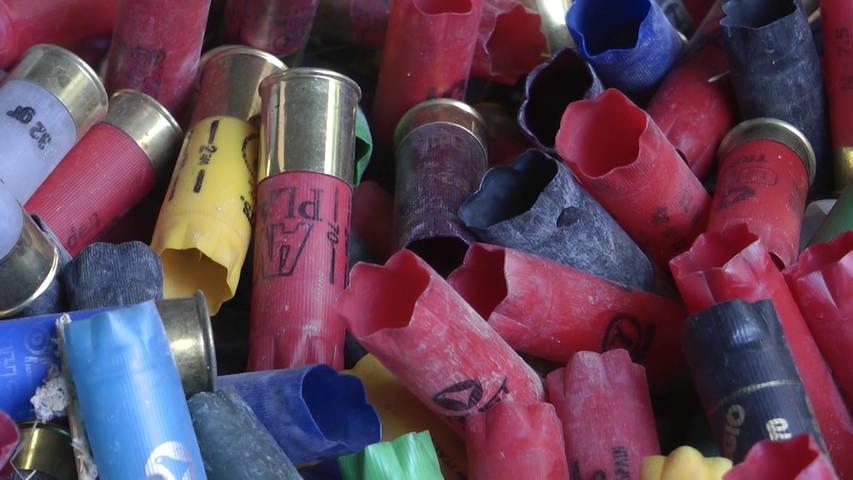Los cazadores no saben cómo o dónde reciclar los cartuchos que recogen