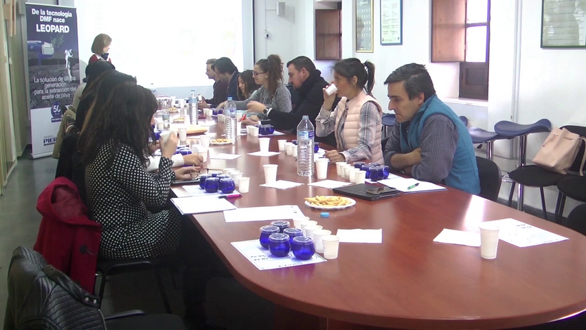 Nuevo curso de cata de iniciación en el Centro de Interpretación del Olivar y Aceite