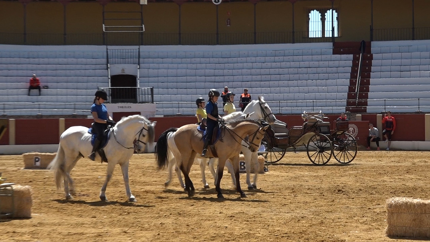 Escolares de Baeza conocen el mundo del caballo de cerca