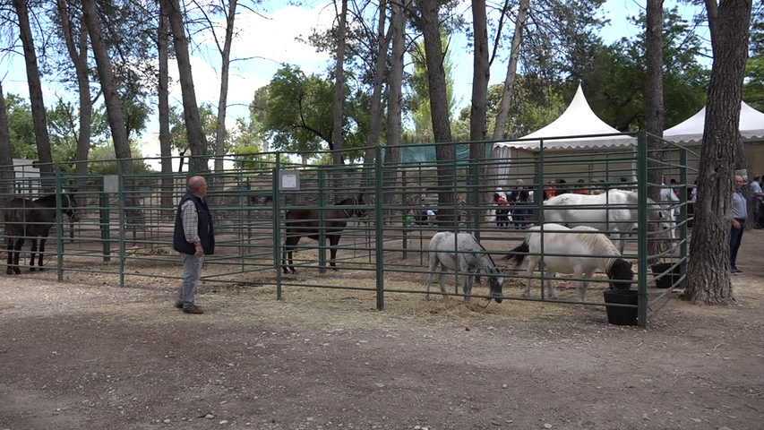 Celebrada la XV Feria del Ganado y I Feria Agrícola de Torreperogil