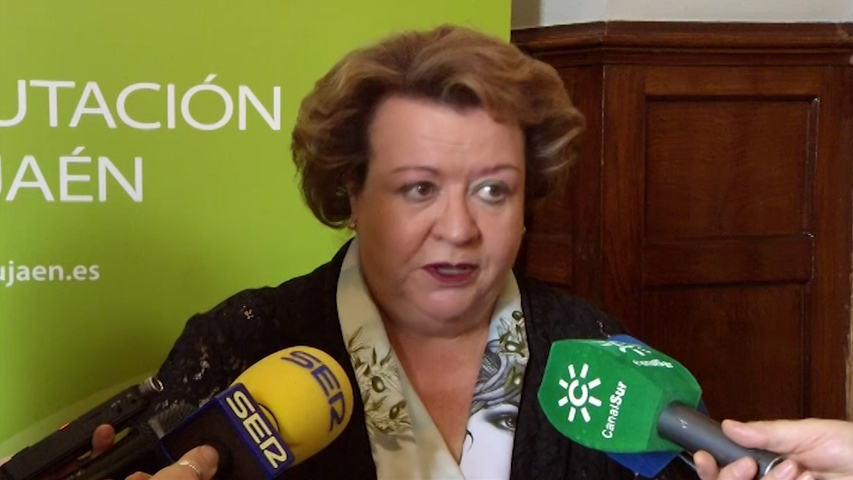 pleno diputacion