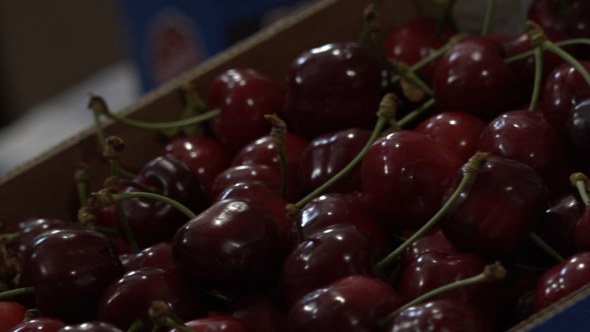 El mercado de abastos de Úbeda acoge la 6ª Muestra de la Cereza