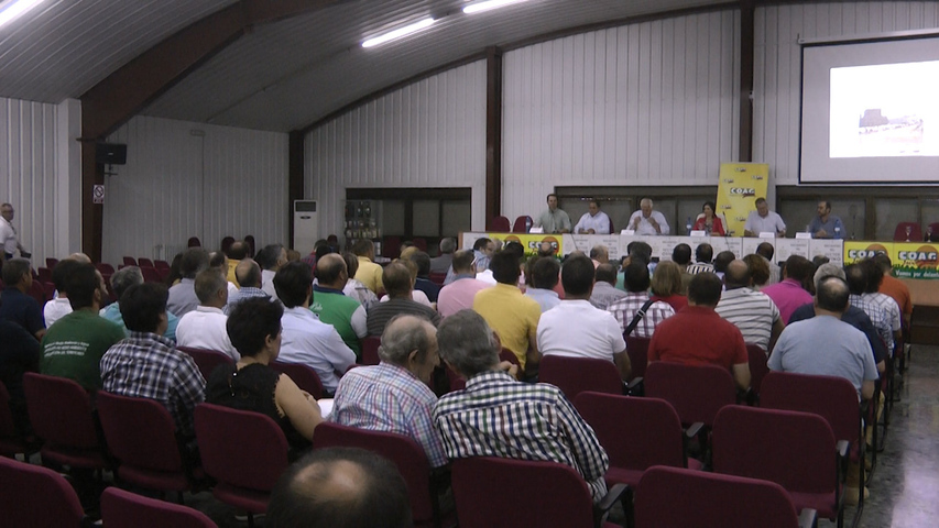 COAG Andalucía celebra en Úbeda su primer encuentro del ovino extensivo