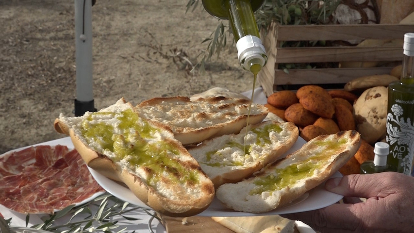Oleícola Jaén celebra su tradicional desayuno de 2º día de cosecha con  Universo Santi como invitado de excepción.