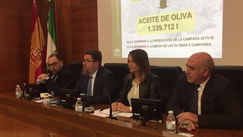 El aforo andaluz prevé una producción de 1,3 millones de toneladas de aceite de oliva, un 40% más que en 2017-2018