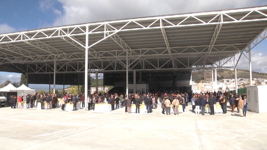 La SCA ‘San Isidro Labrador’ de Canena presenta sus nuevas instalaciones tras la modernización de su almazara