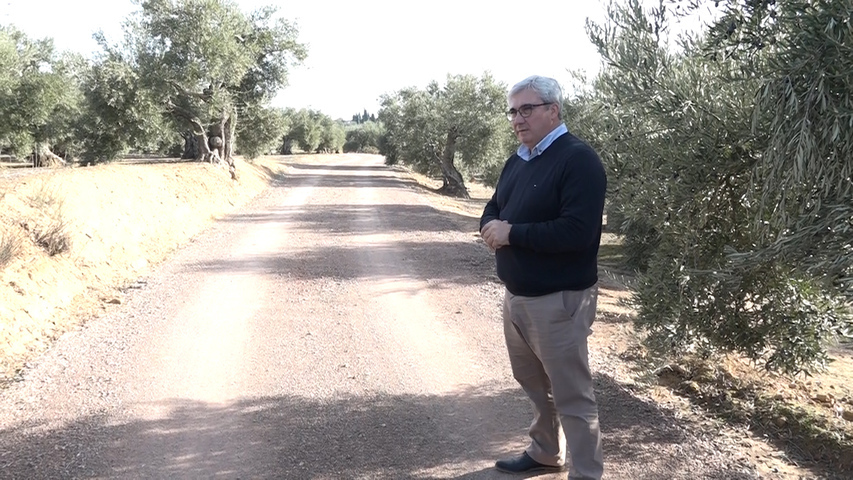 El área de agricultura de Baeza interviene en el Camino de la Cañada de la Escorza