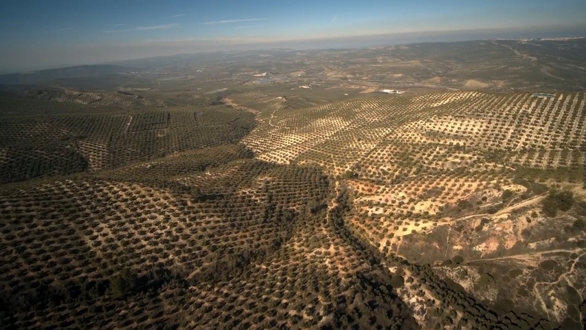 Málaga degusta el AOVE de Jaén en su Festival de Cine