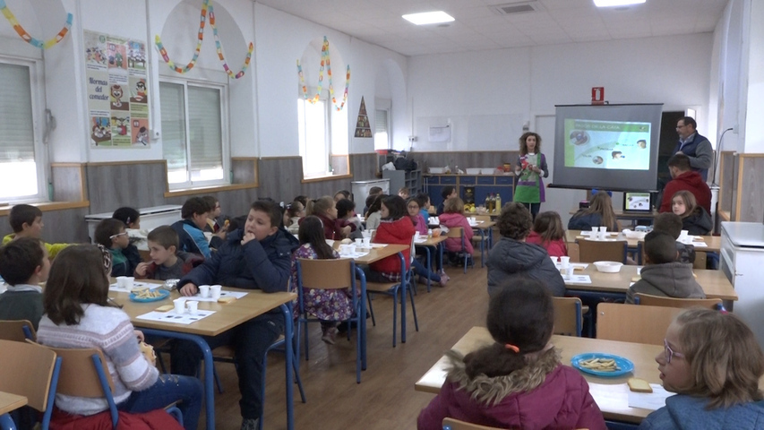 Cuarta semana escolar del aceite en el Colegio San Juan de la Cruz de Baeza