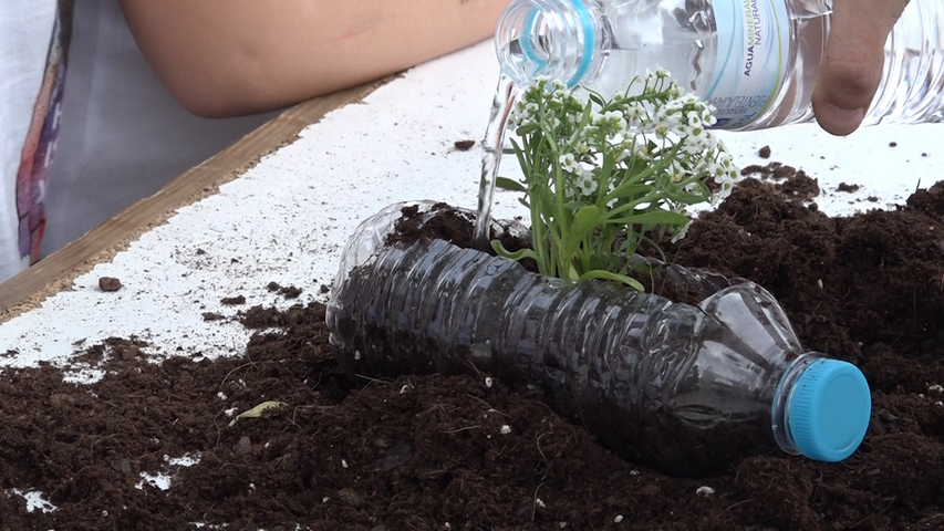 Úbeda celebra el Día Mundial del Medio ambiente con talleres para menores