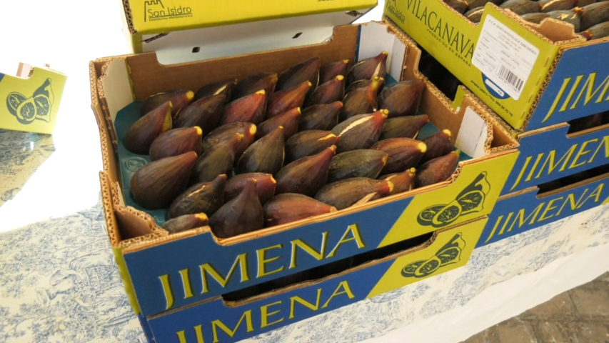 Comienza VII Muestra Provincial de la Breva de Jimena en el marco Degusta Jaén