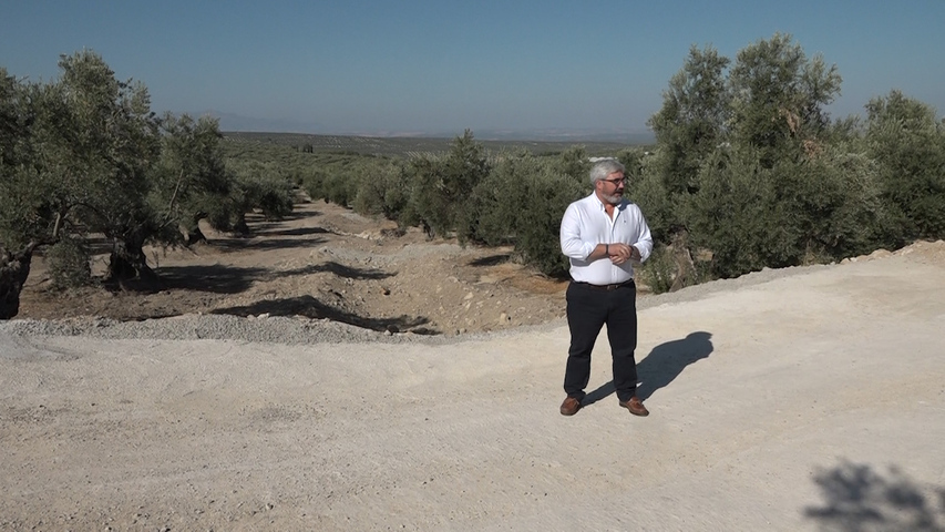 El Ayuntamiento de Baeza interviene en varios caminos del término
