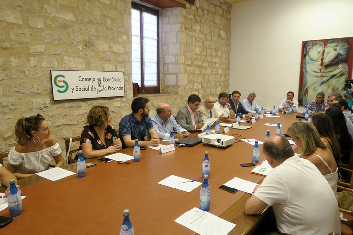 Reyes analiza con el CES Provincial la situación del ferrocarril en la provincia y exige medidas a corto y medio plazo
