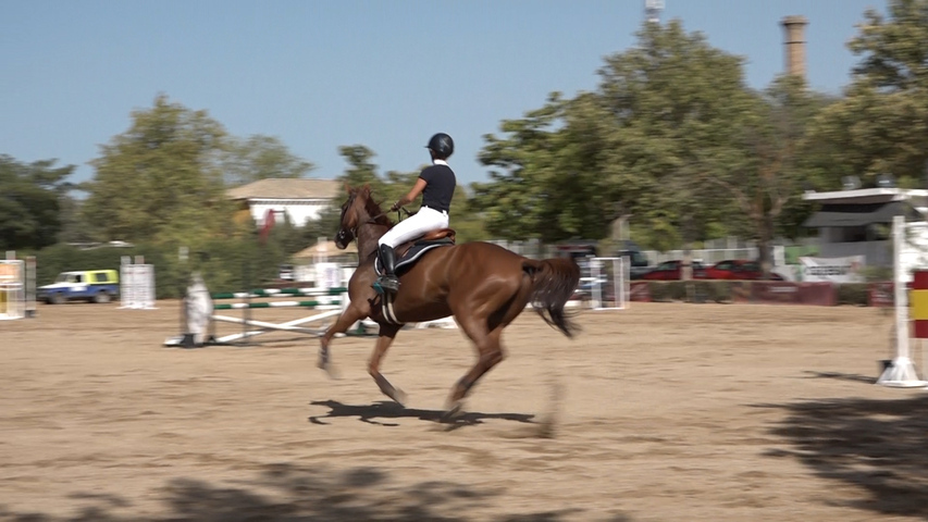 Éxito de participación y público en el 55º Concurso Nacional de Saltos de Caballos de Baeza