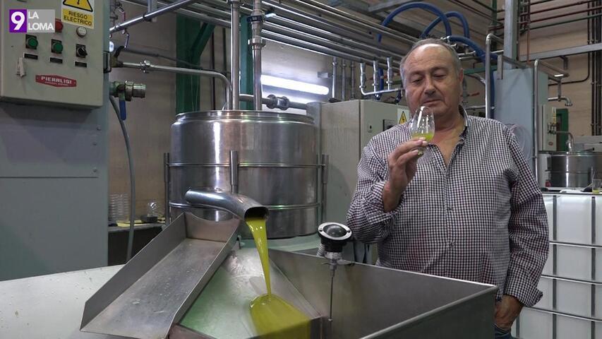 aceite 3