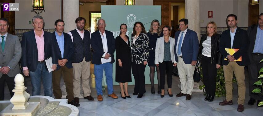 El aforo andaluz prevé una producción de 983.600 toneladas de aceite de oliva, un 32,7% menos que la pasada campaña