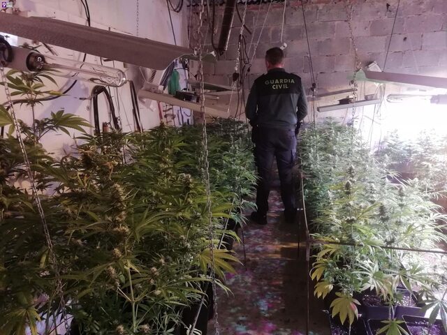 La Guardia Civil detiene a dos personas en Úbeda al intervenir 308 plantas de marihuana