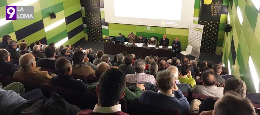Las cooperativas agroalimentarias de Andalucía participarán en la gran manifestación del sector olivarero