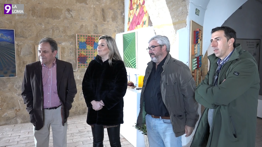El museo del aceite de la Laguna inaugura la exposición «Geometría del Olivar»