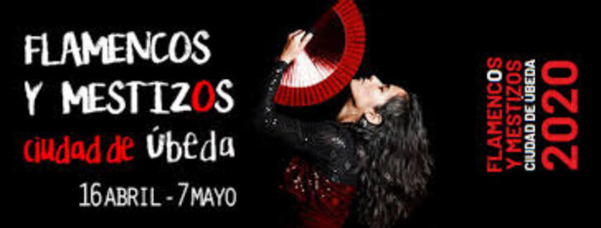 FLAMENCOS Y MESTIZOS