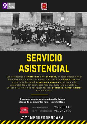 voluntario
