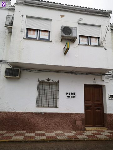 pintada torreblascopedro