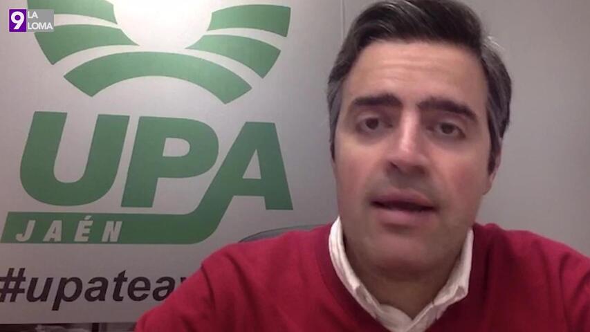 El secretario general de UPA Jaén analiza los últimos datos de producción y comercialización de aceite de oliva