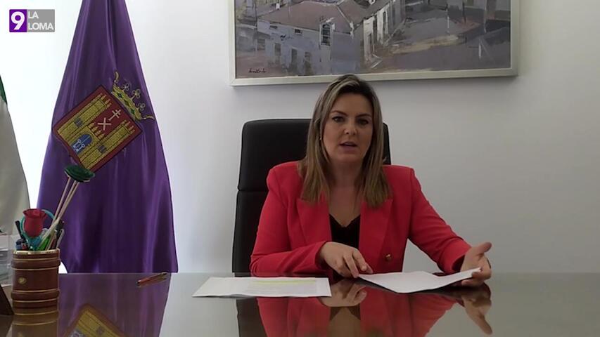 La alcaldesa de Baeza da a conocer el Plan Baeza Renace 2020 a la Junta de Portavoces
