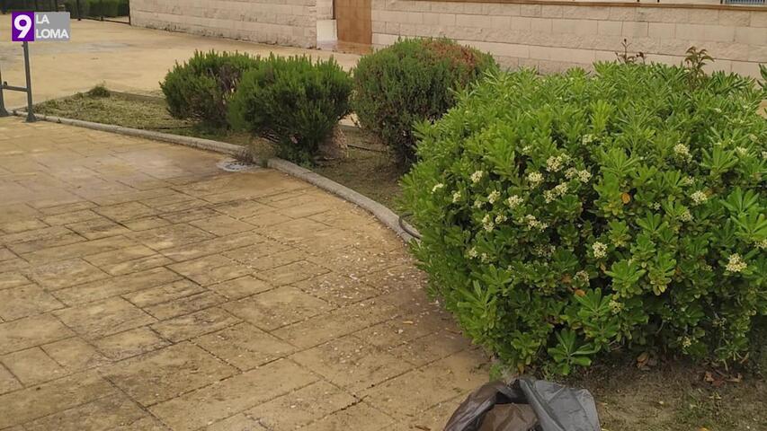 Úbeda sigue trabajando en la limpieza y puesta apunto de sus instalaciones deportivas