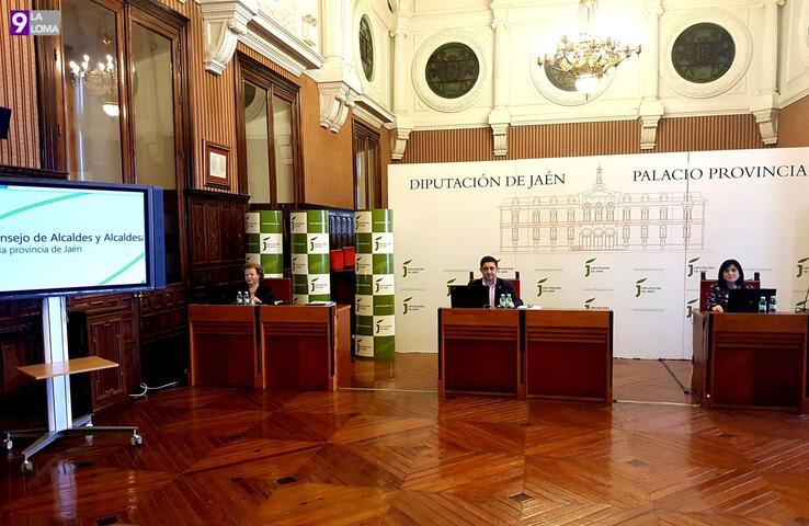 El Consejo de Alcaldes aprueba que los 15 millones de euros del plan extraordinario de apoyo sean para servicios municipales