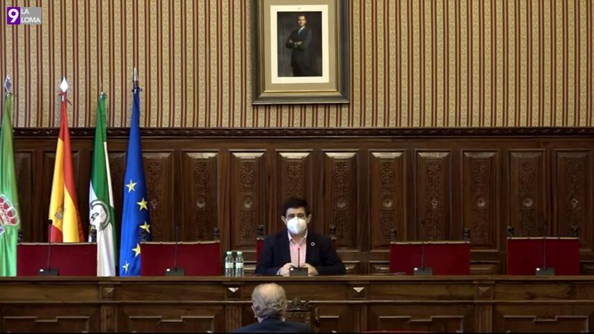 pleno diputación de jaén