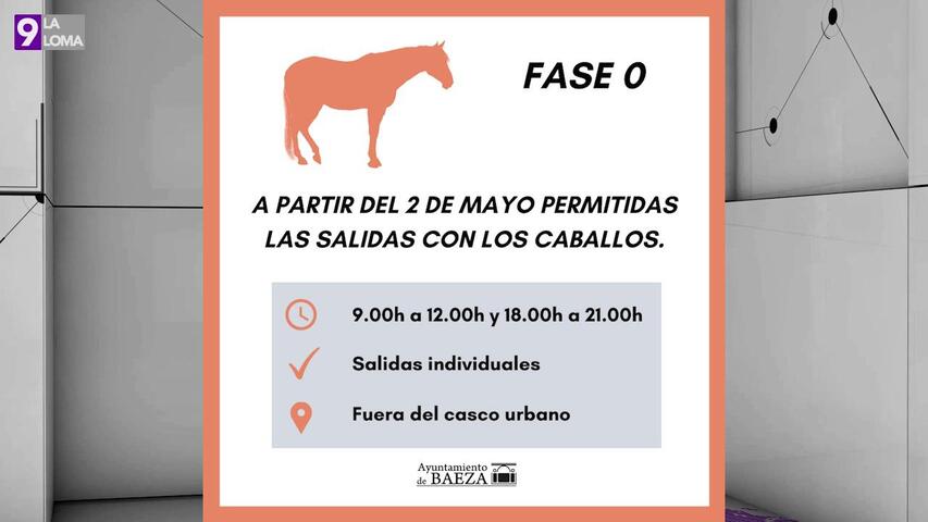 Se autoriza la salida de caballos de manera individual, en los horarios establecidos y fuera del casco urbano