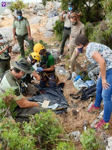 Anillados tres nuevos ejemplares de alimoche en el Parque Natural de Cazorla, Segura y las Villas