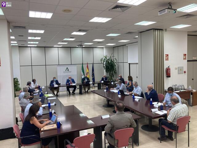 Se constituye el Comité Asesor Externo para el balance de gestión y propuestas de mejora pandemia Covid 19 en Andalucía