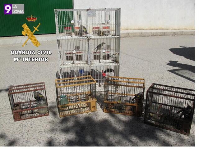 La Guardia Civil está investigando a cinco personas, como presuntas autoras de un Delito Contra la Fauna.