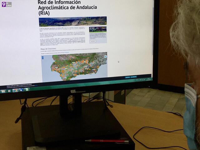Una nueva web permite consultar la información recogida po las 100 estaciones meteorológicas de Andalucía