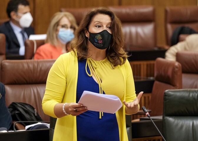 La consejera de Agricultura aboga por trabajar, colaborar y dialogar para una recolección de la aceituna libre de Covid