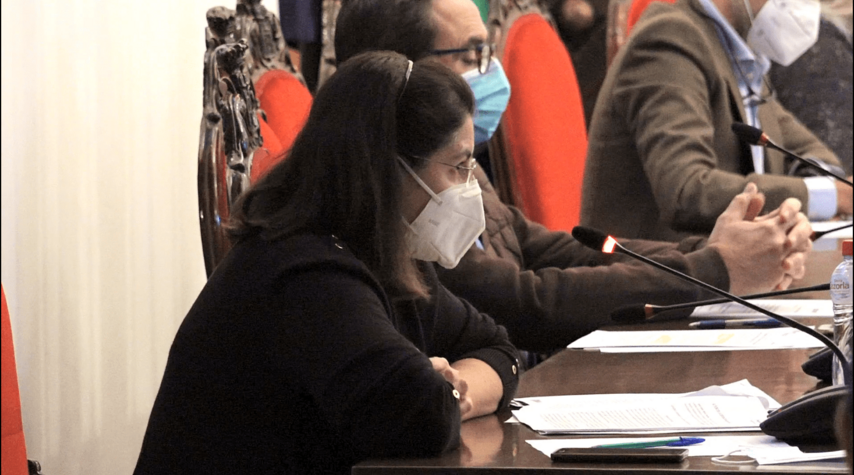 Mª Dolores Galiano valora el Pleno ordinario de Baeza 4 maliroli