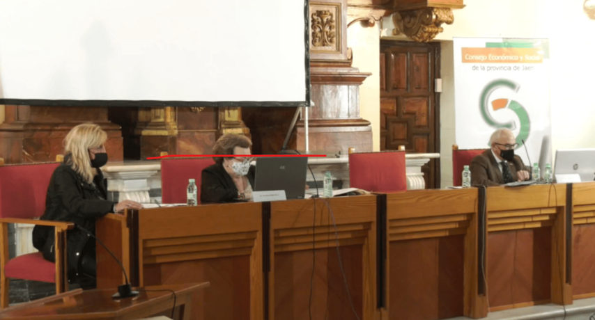 Pilar Parra avanza los Presupuestos de la Diputación para 20221 2 pilar parra