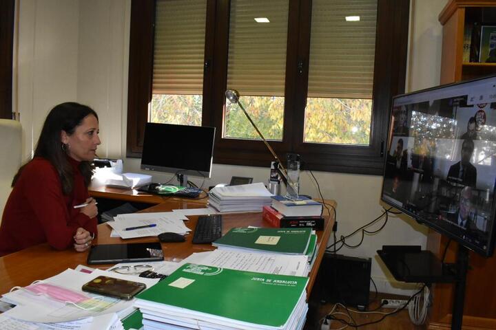 Maribel Lozano destaca la apuesta de la Junta por el Plan Estratégico de Jaén con el impulso de 53 proyectos y una inversión de 180 millones